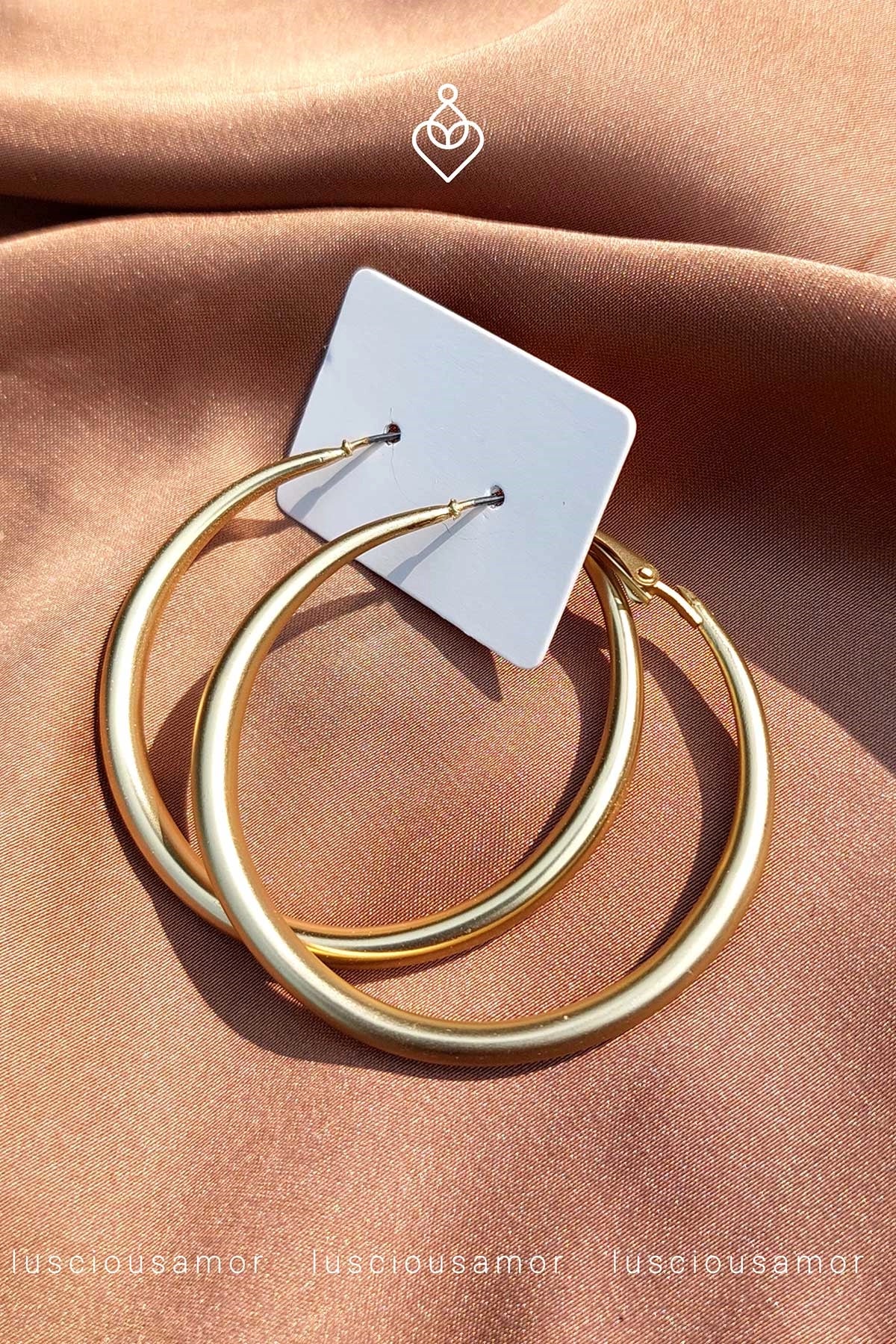 Stainless steel earrings LA002-8