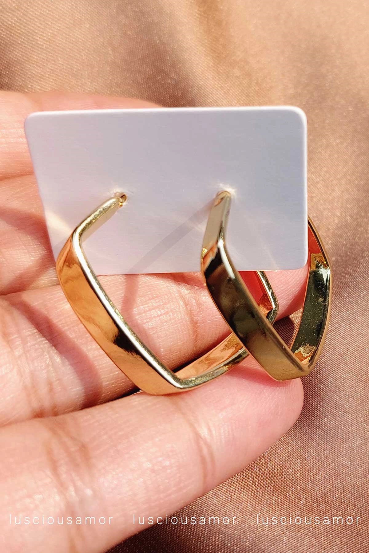 Stainless steel earrings LA001-9