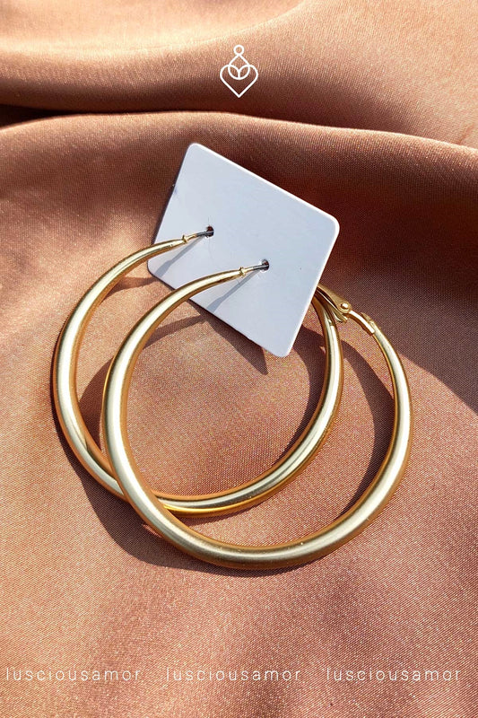 Stainless steel earrings LA002-8