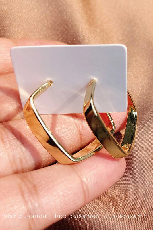 Stainless steel earrings LA001-9