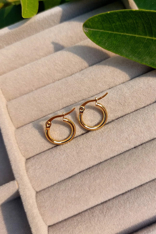 Stainless Steel Earrings ER-Golden-008