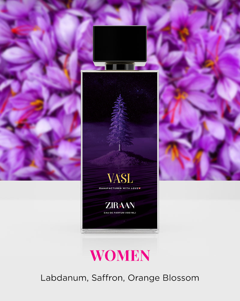 Amour & Vasl - Ziraan
