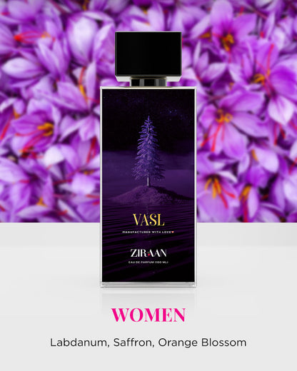 Amour & Vasl - Ziraan