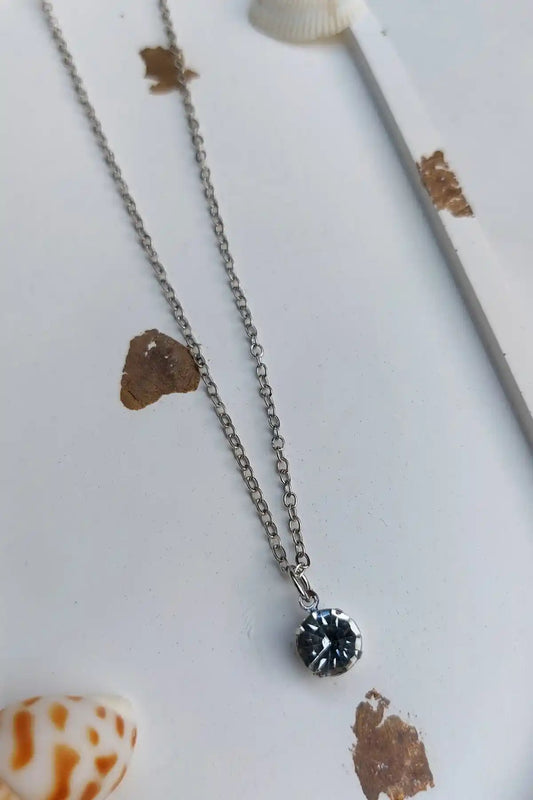 Stainless Steel Necklace Silver SN-002