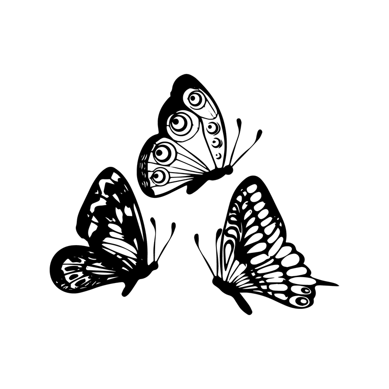 Set of 3 Butterfly-Shaped Acrylic Wall Decor, Infusing Spaces with Elegant Geometry and Black & White Beauty - Open Market Pakistan